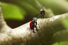 bugged_1024